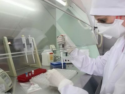 Российские ученые расшифровали полный геном коронавируса - В Мире