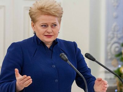 Грибаускайте: уходящий год был очень успешным для Литвы - Литва и страны Балтии