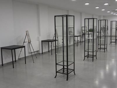 Какое финансирование предусмотрено в 2024 году для городского музея? (видео) - В Висагинасе