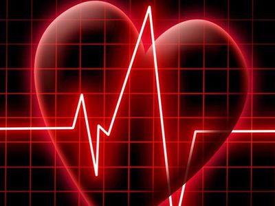 Депутат Сейма Литвы — профессия повышенного риска                                 - Наука и здоровье