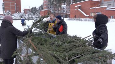 18 декабря в Висагинасе состоится акция бесплатной раздачи елочных веток