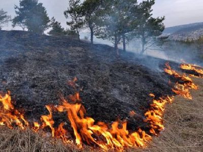 Akcija "Nedegink zoles!" - Visagine