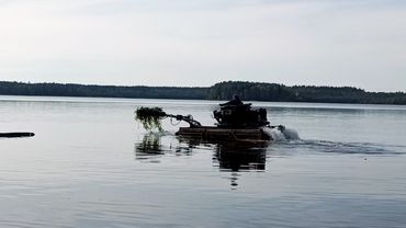 На пляже Висагинаса очищают берег от тростника (видео)