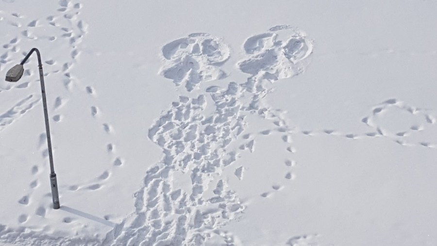 Поздравляем победителя конкурса «Что бы это значило?» - Конкурсы для читателей