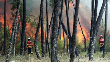 Miškų gaisrai pastebimai veikia klimatą