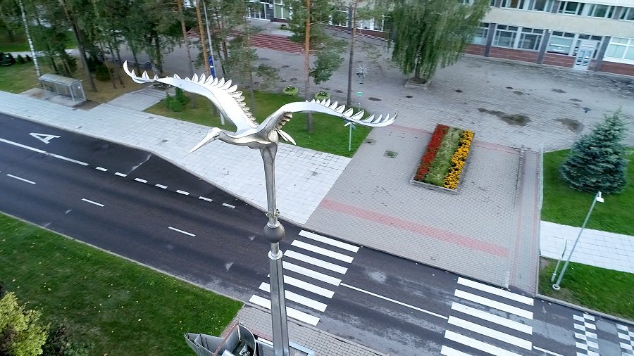 День журавля. Что мы знаем об этом символе города?  (видео) - В Висагинасе