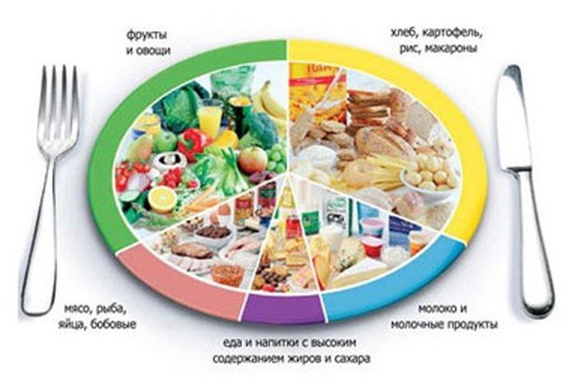 Специалисты разработали «тарелку правильного питания»