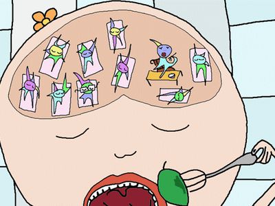 Правда ли, что мозг задействуется нами только на 10%?                                                                 - Наука и здоровье