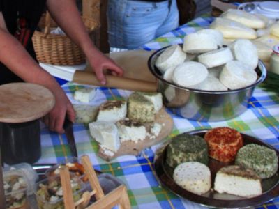 Туристов в Литву будут привлекать дичью и сырами - Хобби, отдых и развлечения