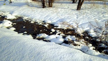 Морозы ушли: с каждым днем будет все теплее