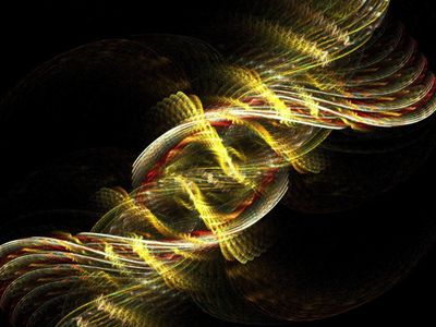 Эволюция мужских и женских особей. Еще одна гипотеза ученых - Наука и здоровье