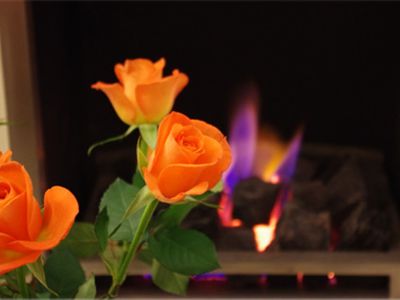 Поздравляем коллег                                                                                                                                 - В Висагинасе