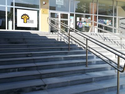 4-летняя история «плачущих» ступенек (Дополнено) - В Висагинасе