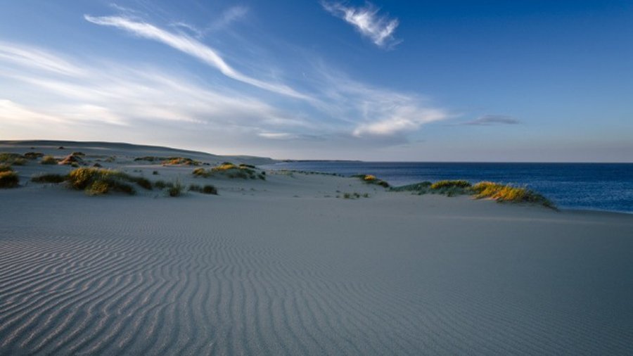 В Калининградской области началось воздушное патрулирование заповедной Куршской косы
 - Литва и страны Балтии
