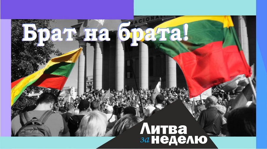 Границы насквозь: индийский штамм-мутант, иракцы-нелегалы и солдаты-беспредельщики – Литва за неделю (видео) - Литва и страны Балтии