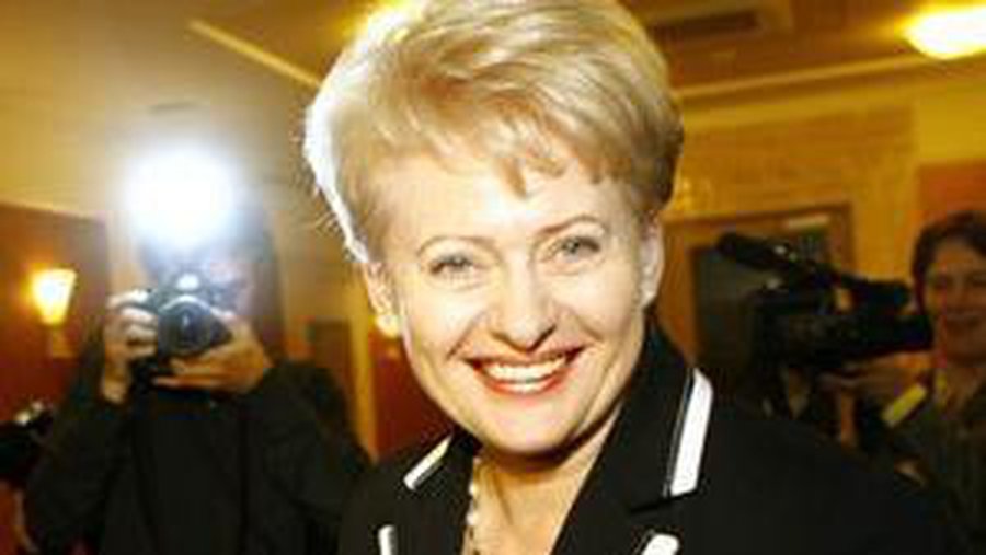 Новый президент Литвы: Политические метания в правительстве вызывают сомнения в их способности продолжить реформы - Литва и страны Балтии