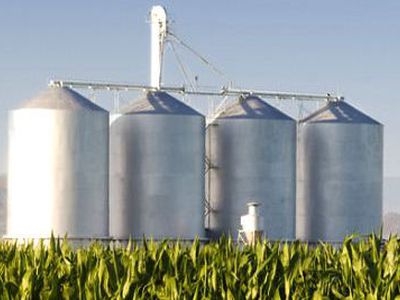 Экономист: АЭС даст Литве тысячу рабочих мест, использование биотоплива — 200 тысяч                                 - Энергетика