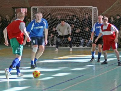 Кубок Эвиконаса 2014  - В Висагинасе