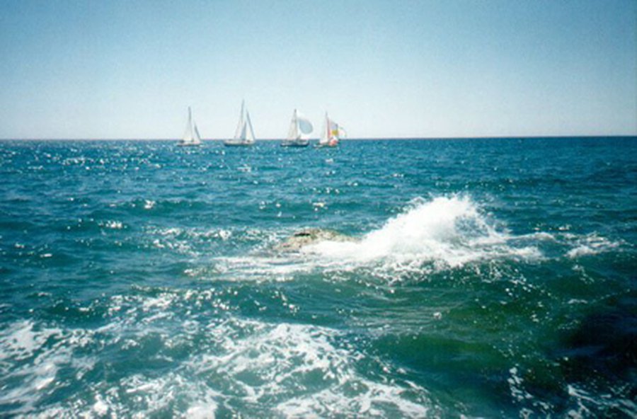 Кладбища выходят из моды в Германии                                 - Хобби, отдых и развлечения