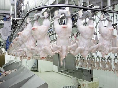 ГПВС ошиблась: небезопасное мясо не дошло до потребителей - Литва и страны Балтии