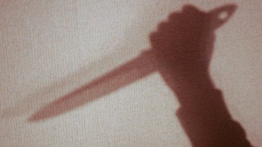 В Висагинасе обнаружены двое убитых мужчин - Происшествия и криминал