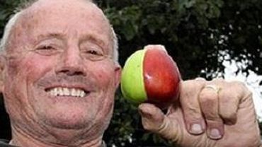 Британский пенсионер вырастил в саду странное яблоко