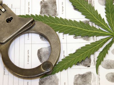 В сенюнии Римше обнаружена плантация конопли - Происшествия и криминал