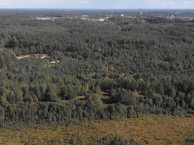 Мэр – о создании свободной экономической зоны и о квартале частных домов (видео) - В Висагинасе