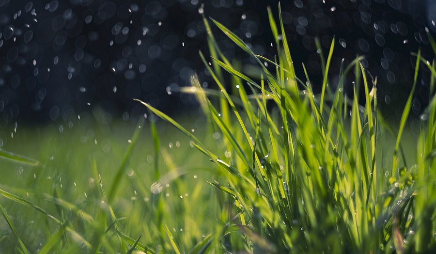 Предупреждение синоптиков: в какой из дней погода будет особенно неприятной - Литва и страны Балтии