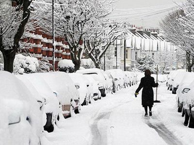 Этой зимой Литва сможет избежать снежных завалов - Литва и страны Балтии