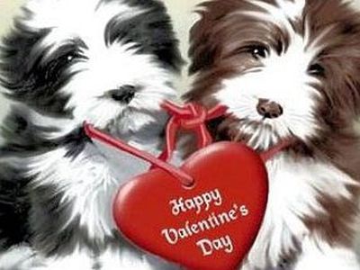 Интернет захлестнула волна фальшивых поздравлений ко Дню святого Валентина - IT новости