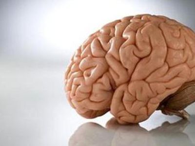 Мозг оказался способен учиться во сне - Наука и здоровье