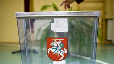 Д.Штраупайте, возможно, будет баллотироваться в Президенты Литвы