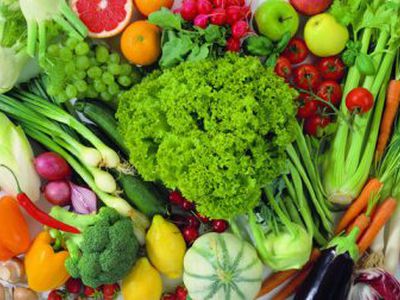 Как извлечь из пищи энергию, не набирая пустых калорий? - Наука и здоровье