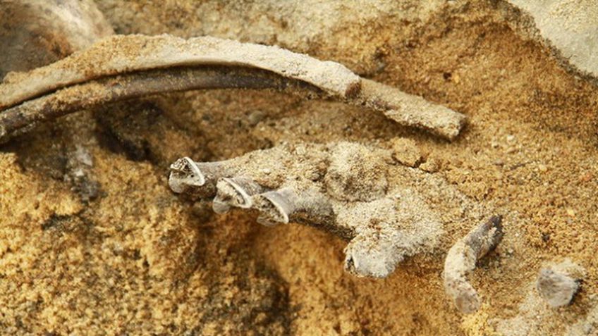 Drūkšių ežero pakrantėje buvo surasti žmogaus kaulai