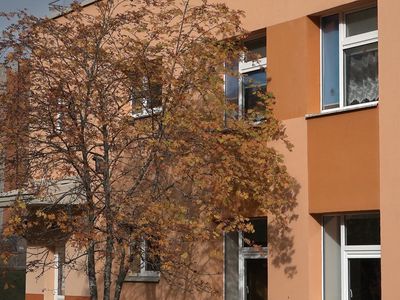 Центр благополучия семьи и ребенка в случае необходимости готов принять детей из Украины (видео) - В Висагинасе