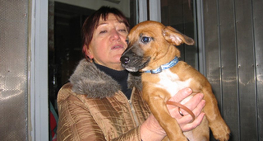 Маленький Рекс ждет хозяина - В Висагинасе