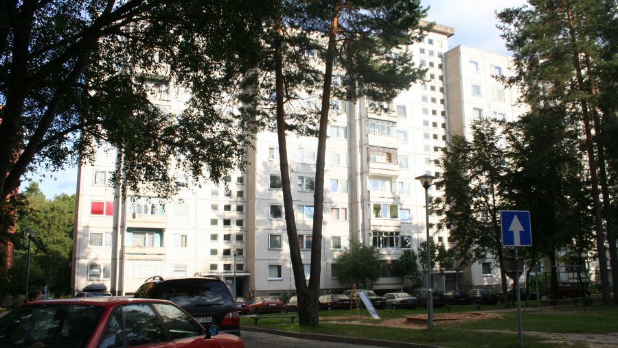 Горячая линия: Зачем рубить деревья – украшение двора? - В Висагинасе