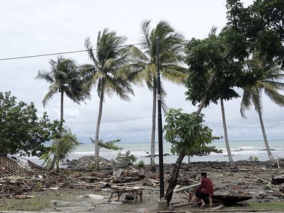 СМИ: сотни посетителей концерта в Индонезии могли пропасть без вести из-за цунами - В Мире