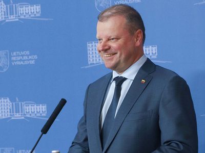 Вопросы нацменьшинств в Литве будет координировать новая правительственная комиссия - Литва и страны Балтии