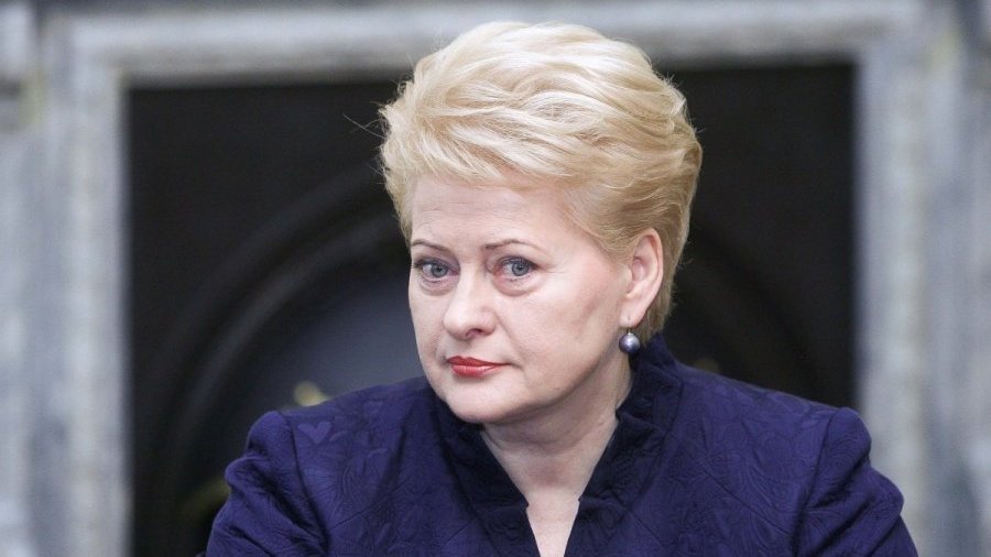 Rusijos veiksmai išvedė D. Grybauskaitę iš kantrybės - Lietuva ir Baltijos šalys