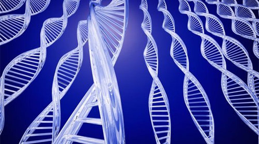 Лекарство от глупости - Наука и здоровье