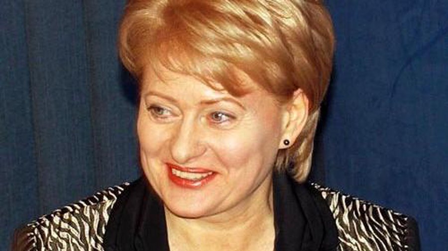 Первые дела нового президента Литвы: социальные вопросы и энергетика - Литва и страны Балтии