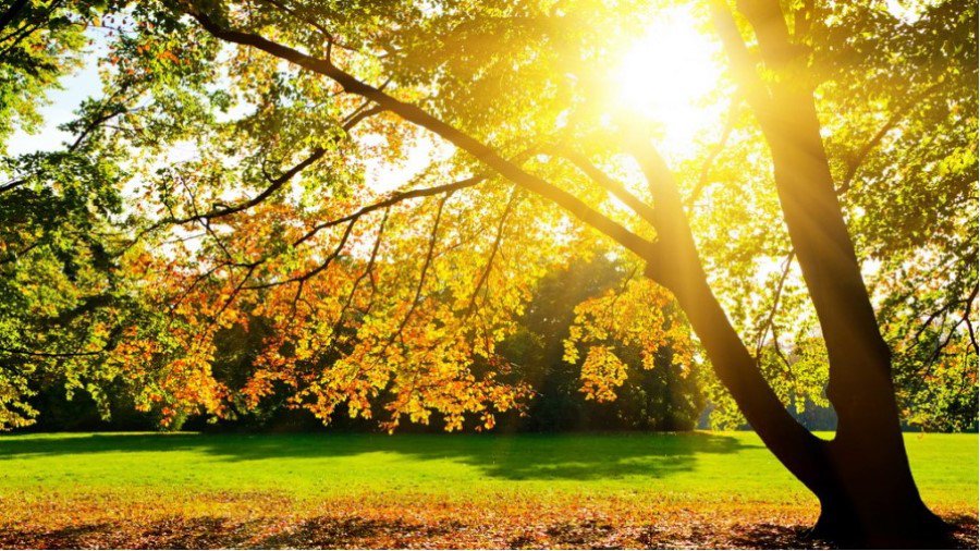 Погода: выходные ожидают быть теплыми - Литва и страны Балтии