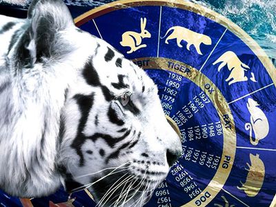 С Новым 4720 годом Черного Водяного Тигра! - В Мире