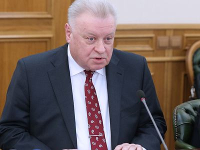 Посольство РФ в Литве добивается встречи с задержанным россиянином - Литва и страны Балтии