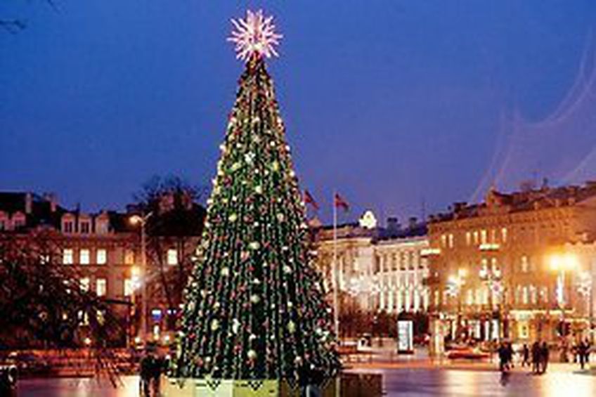 Вильнюсская рождественская елка — самая красивая в Балтии                                