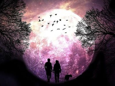 Самое яркое событие – суперлуние: где и когда можно увидеть? - Это интересно