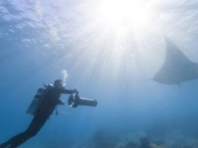 На Google Street View появились подводные панорамы - IT новости