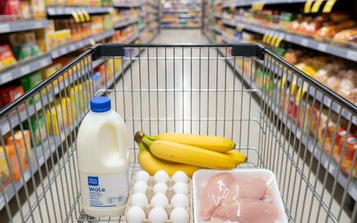 Продуктовая корзина дорожает медленнее, но дешевле не становится - Литва и страны Балтии